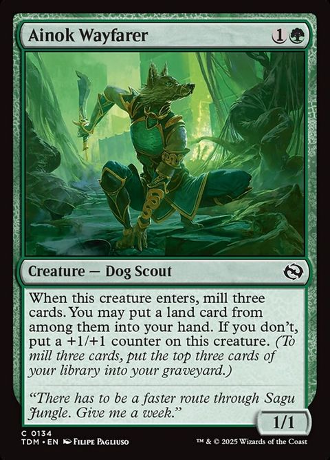 134-ainokwayfarer