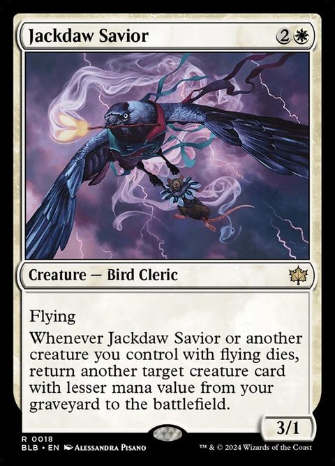 18-jackdawsavior