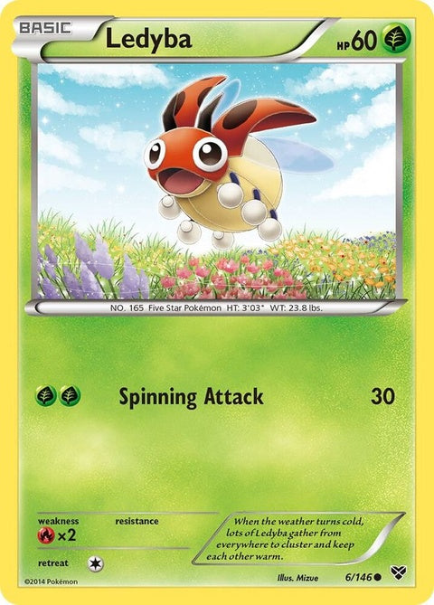 6-ledyba