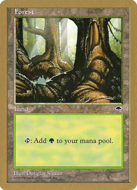 bs348-forest
