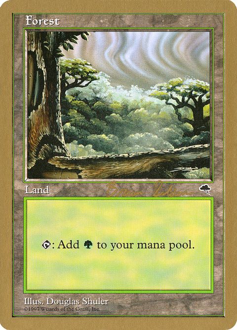 bs349-forest