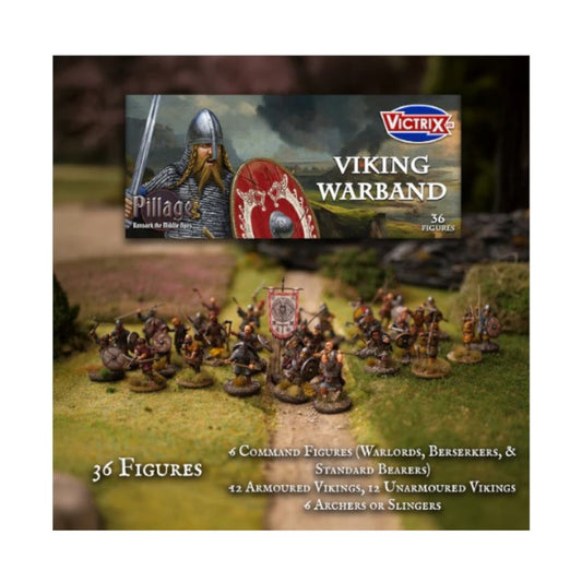 Viking Warband
