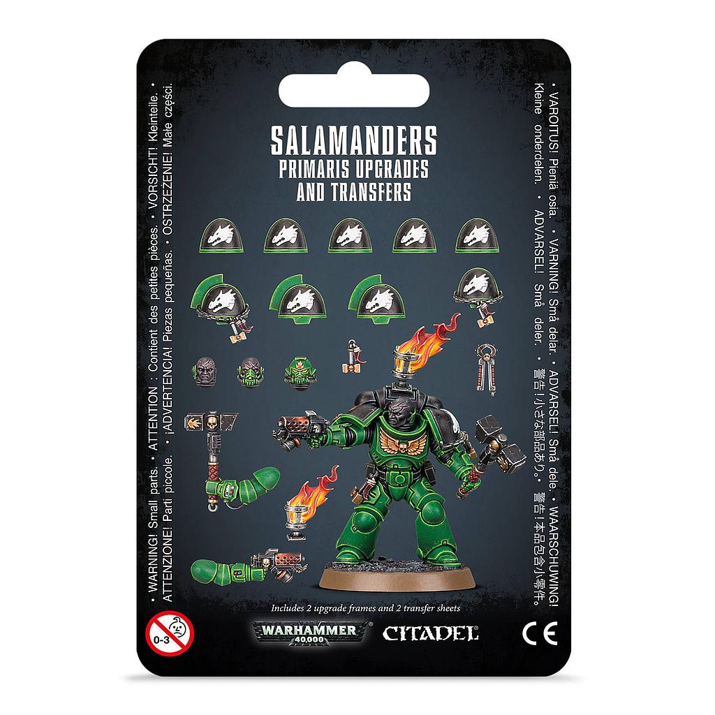 Primaris Upgrades and Transfers: Salamanders