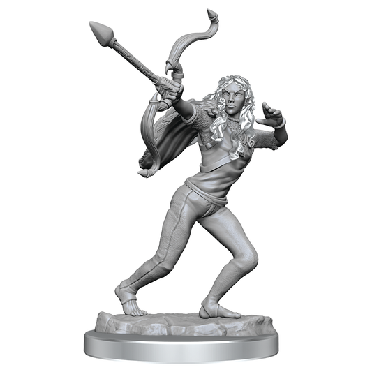 Ashari Stoneguard & Ashari Skydancer: Critical Role Unpainted Miniatures