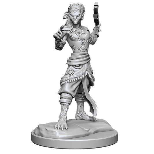 Shifter Fighter: D&D Nolzur's Marvelous Unpainted Miniatures